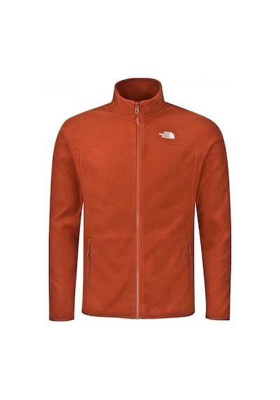 The North Face 100 Glacier Erkek Full Zip Polar