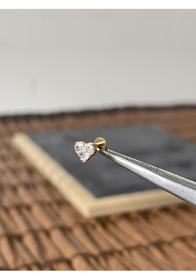 Yüksek Kalite G23 Titanium Kalp Zirkon Altın Titanyum 6 X 1.2 MM Labret Piercing Altın