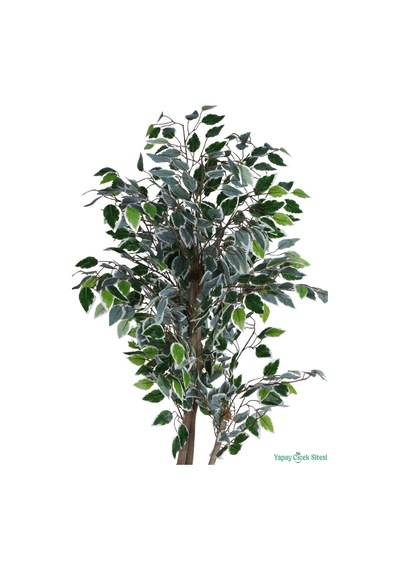 Yapay Çiçek Sitesi Beyaz Saksıda Yapay Benjamin Ficus Ağacı 130 Cm Yeşil - Beyaz Yeşil-beyaz
