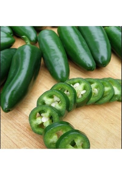 Doğal Early Jalapeno Erkenci Biber Tohumu 20 Adet