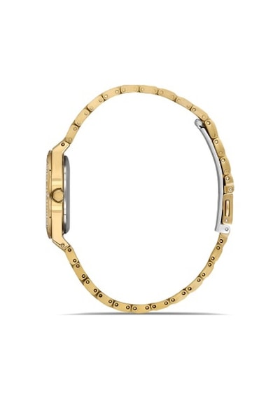 Ferro Fl21518awt-b Quartz Çelik Altın Rengi 30 Mm Kadın Kol Saati Altın