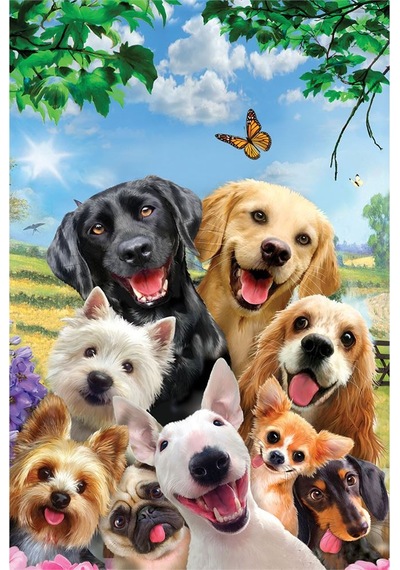 Prime 3d Kediler Ve Köpekler Selfie İkili Puzzle 200 Parça 10236