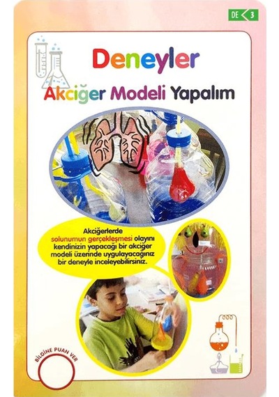 Deneyler Eğitici Oyun Kartları - Etkinlik Kartları
