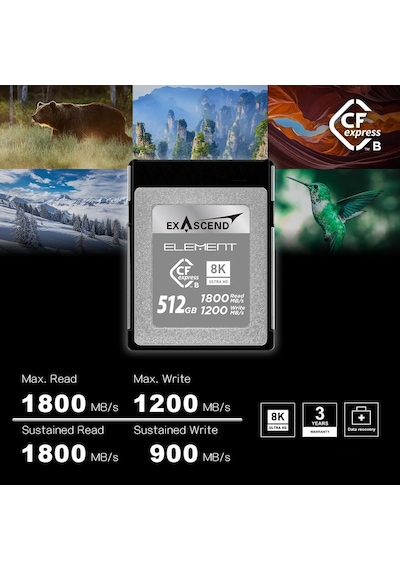 Exascend Element 512gb Cfexpress Type-b Hafıza Kartı