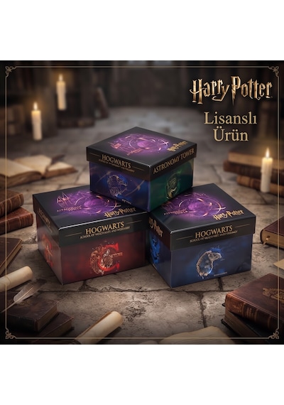 Bakgelal Harry Potter Hogwarts Lisanslı 3 Lü Dekoratif Saklama Kutusu Seti İç İçe Geçebilen Hediye Kutuları- Görekemli Hogwarts Tasarımlı - 9013756133961