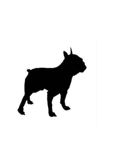 Köpek Folyo Sticker Derstv878 200cm Uzunluk Siyah