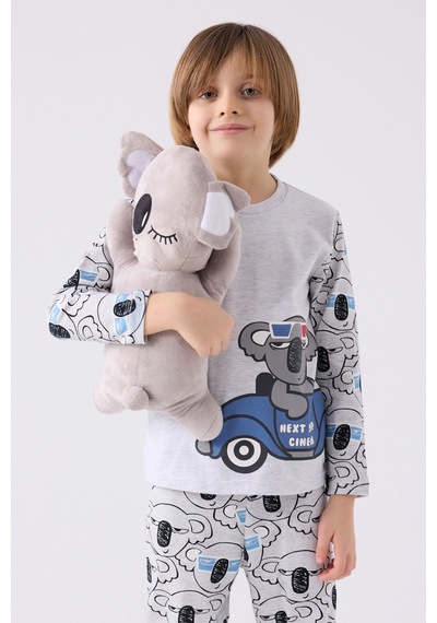 Rolypoly Erkek Çocuk Gri Pijama Takımı 5274-45637 Gri