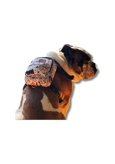 Dr. Premium Sığır Etli Doğal Sığır Derisi Press Kemik Tahılsız Köpek Ödülü 10 220-240 Gr 1'li