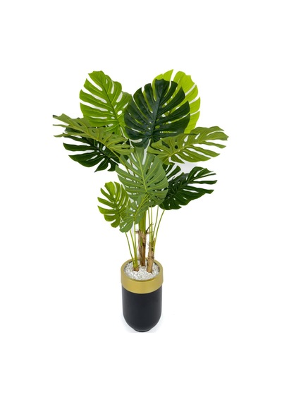 Yapay Monstera Ağacı Deve Tabani 170 Cm Si Yah Gold Darbuka Saksıda Siyah Gold