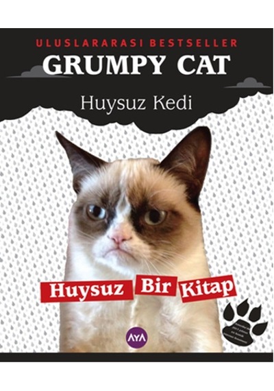 Grumpy Cat - Huysuz Kedi- AYA
