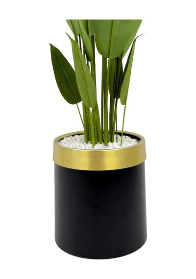 Starliçe 220cm Metal Siyah Gold Saksıda H
