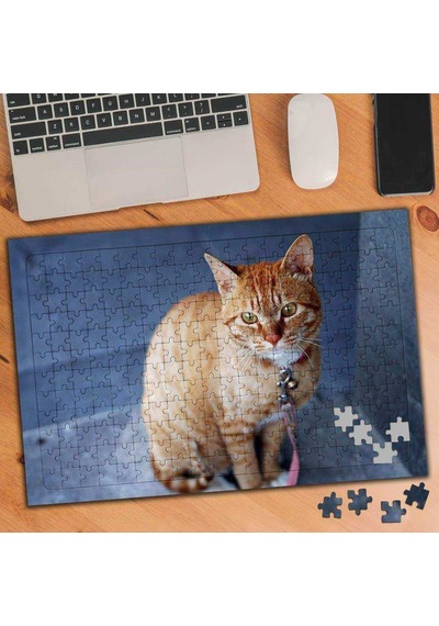 Sarı Tüylü Sevimli Kedi 240 Parça Puzzle Yapboz-74530