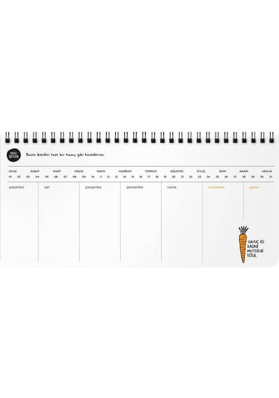 Hisli Şeyler 13x27cm Spiralli Planner Stickerli Planner - Zirvedeyim Canım Duymuyorum Yeşil Karışık Çok Renkli