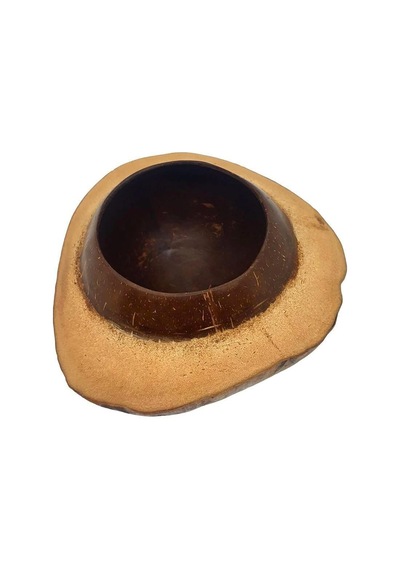 Coconut Hindistan Cevizi Kase Kabuklu Coconat Kase