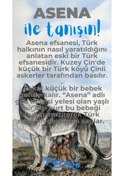 Petjoo 25.Asena Mavi-Gri Qr'lı Köpek Künyesi