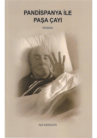 Pandispanya İle Paşa Çayı - Ali Kayacan - Deka Yayınları