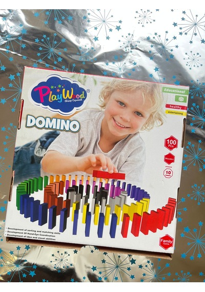 Domino Seti Eğitici Oyuncak