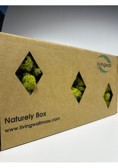 Reindermoss Şoklanmış Norveç Yosunu Terarium Yosunu Lime Green 500 Gr.