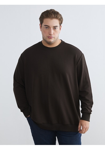 Lcw Vision Kahverengi Bisiklet Yaka Erkek Sweatshirt