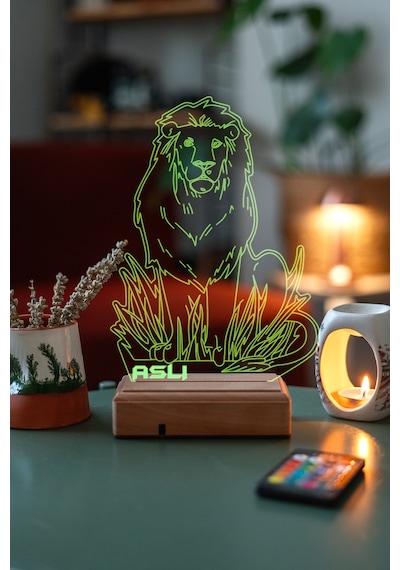 Aslan 16 Renk Kumandalı 3d Gece Lambası Çok Renkli