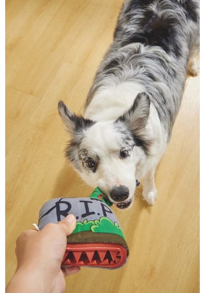 M-pets Halloween Tomb Snack Attack Köpek Oyuncağı
