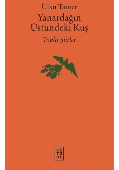 Ketebe Yanardağın Üstündeki Kuş
