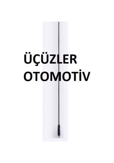 Tavan Anten Çubuğu R19 R9 R11 R21 Unuvar 7700773864