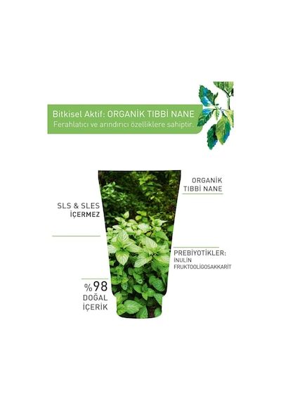 Yves Rocher Karma Ve Yağlı Ciltler Için Pure Menthe Prebiyotik Yüz Yıkama Jeli-125 ML