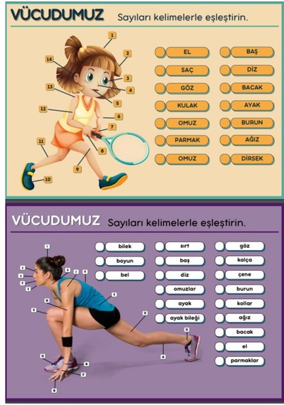 Vücudumuzu Tanıyalım Yaz - Sil Kitabı