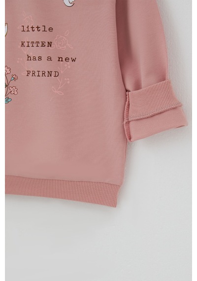 Breeze Kız Çocuk Sweatshirt Dostluk Temalı Sevimli Hayvancıklar Baskılı 1.5-5 Yaş , Gülkurusu Breeze Kız Çocuk Sweatshirt Dostluk Temalı Sevimli Hayvancıklar Baskılı 1.5-5 Yaş , Gülkurusu