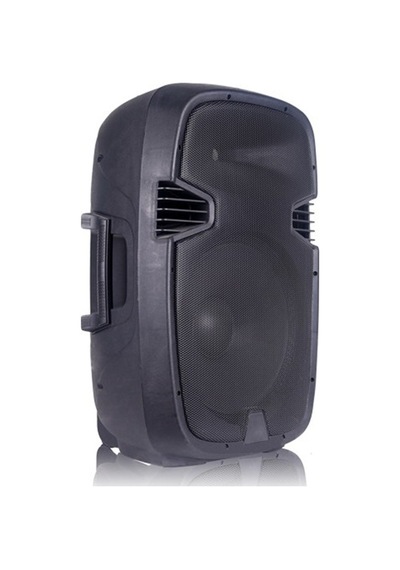 Network Ew-12 12inç 2 Yollu 500w Pasif Hoparlör