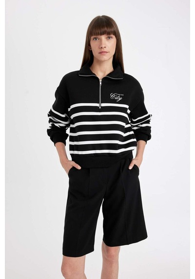 DeFacto Regular Fit Yarım Fermuarlı Dik Yaka Çizgili Kalın Sweatshirt D5297AX24AUBK81