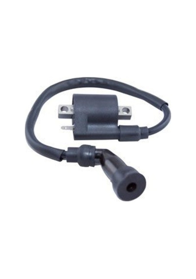 Ybr Ateşleme Bobini (284587754)