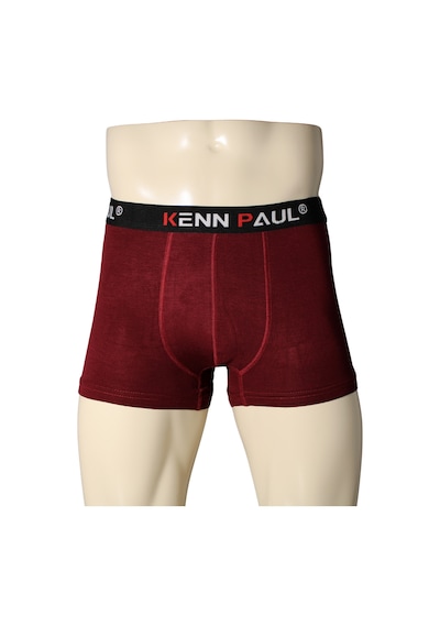 Kennpaul 5'li Renkli Bambu Kumaş Erkek Boxer Çok Renkli