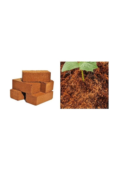 Cocopeat Sıkıştırılmış Hindistan Cevizi Torfu 65 Lt Kokopit