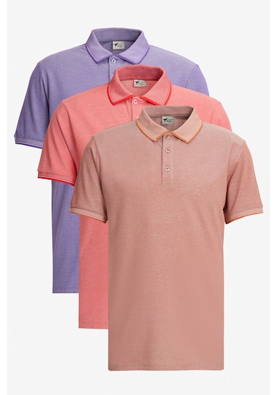AC&Co / Altınyıldız Classics Erkek Kıremıt-Nar Cıcegı-Mor Çekmeyen Pamuklu Kumaş Slim Fit Dar Kesim 3 'Lü Kıvrılmaz Polo Yaka Tişört Çok Renkli AC&Co / Altınyıldız Classics Erkek Kıremıt-Nar Cıcegı-Mor Çekmeyen Pamuklu Kumaş Slim Fit Dar Kesim 3 'Lü Kıvrılmaz Polo Yaka Tişört Çok Renkli