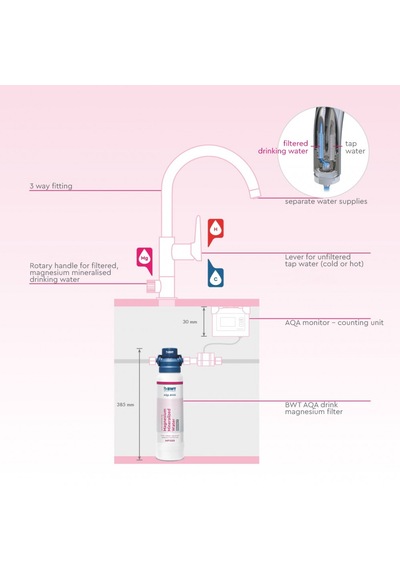 Bwt Aqa Çinko + Mp300