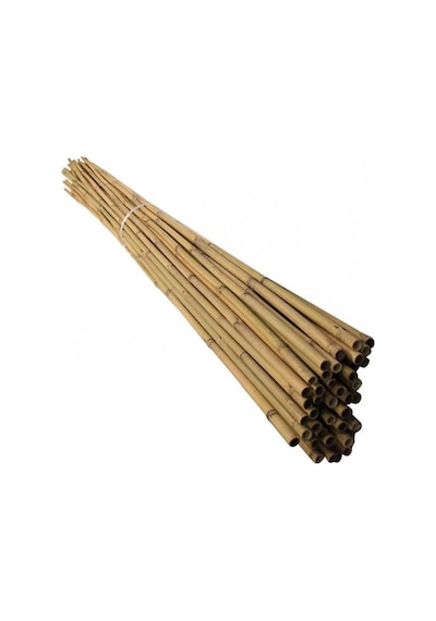 120 Cm Doğal Bambu Bitki Destek Çubuğu 10 Adet 5-10 Mm Standart