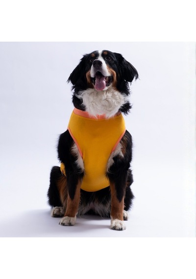 Sarı Crabby Beach Büyük Köpek Tişörtü - Köpek Kıyafeti 15 Kg-45 Kg