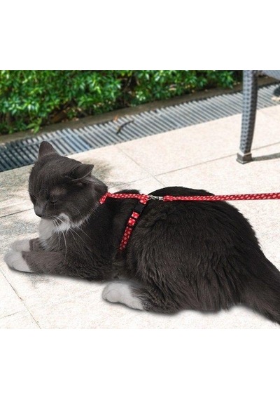 Pettagart Kırmızı Beyaz Pati Desenli Ayarlanabilir Kedi Göğüs Tasma Seti 10 Mm 110 Cm