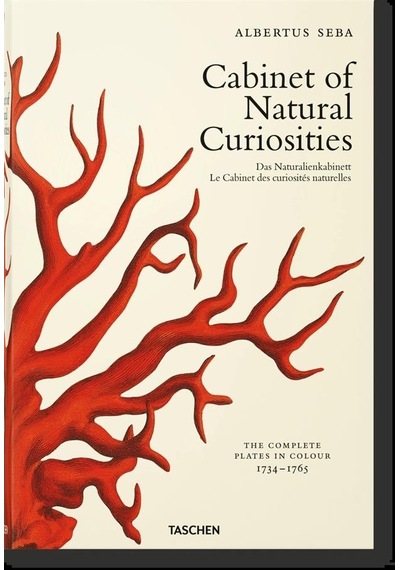 Cabinet Of Natural Curiosities