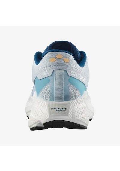 Salomon Aero Glıde 3 Grvl Erkek Koşu Ayakkabısı L47811800 Çok Renkli