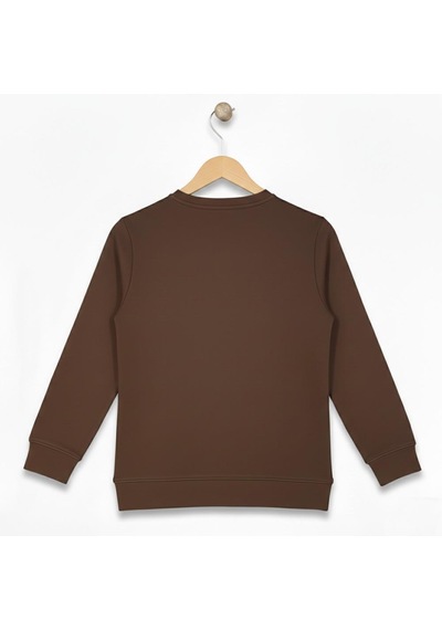 Baglan Erkek Çocuk Oysho Sweatshirt Bgl-st05229 Kahverengi