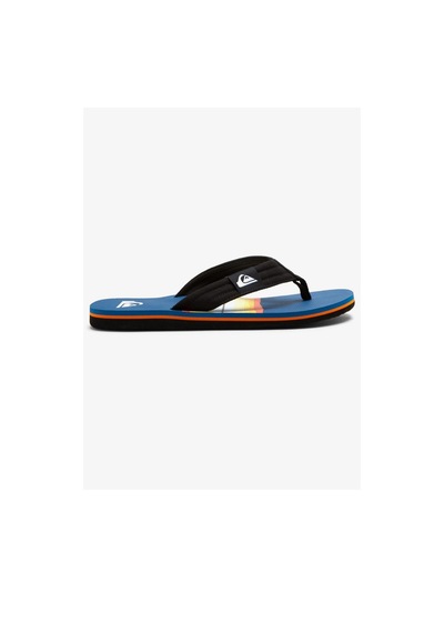 Quiksilver Molokai Layback Erkek Parmakarası Aqyl101241 Mavi