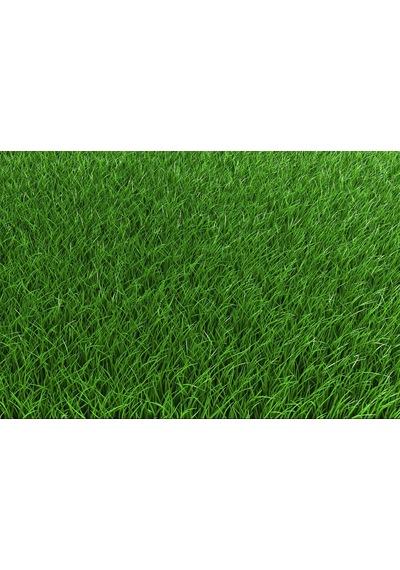 GReenking 6M 6 Lı Karışım Çim Tohumu 250 GR