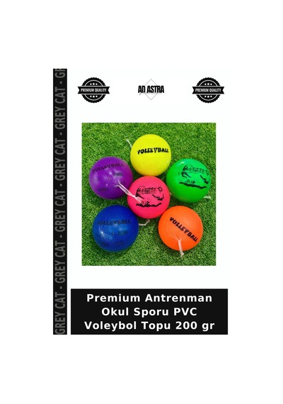 Premium Antrenman Okul Sporu Pvc Voleybol Topu 200 Gr Çok Renkli