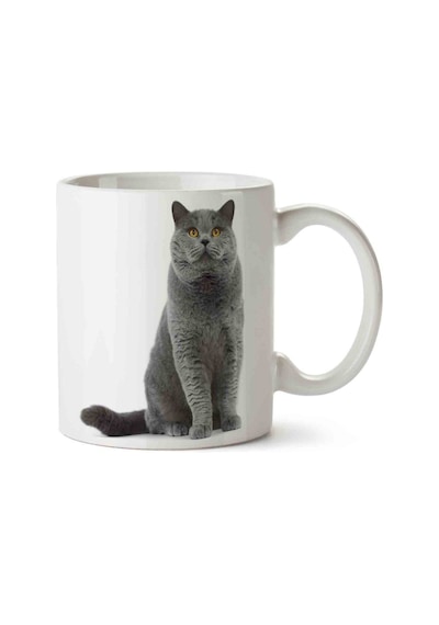 Kedi Seni Seviyorum Love Porselen Kupa Bardak Beyaz