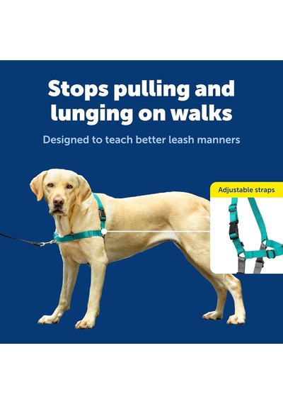 Easy Walk No-pull Köpek Göğüs Tasması, Çekmeyi Önlemeye Yardımcı, Kontrolü Ele Alın Ve Tasmayla Daha İyi Yürümeyi Öğretin, Large, Sarımsı Turkuaz/gri