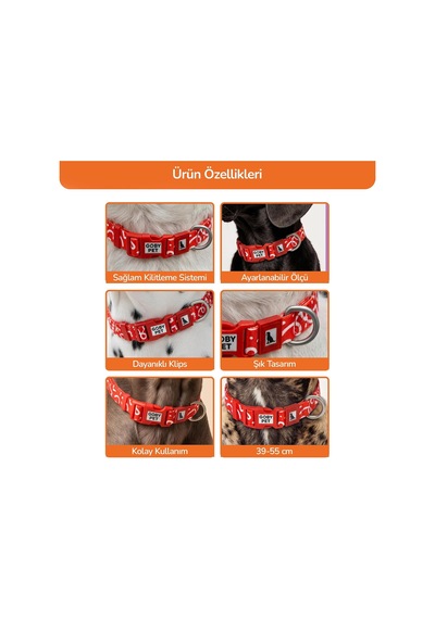 Gobypet Airmesh Köpek Gezdirme Boyun Tasma Seti Xs - Küçük Irk Köpek Ve Kedi Gezdirme Tasması Nefes Alabilen File Çok Renkli