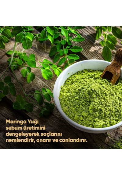 Dp Daily Perfection Şampuan Moringa Yağı 425 ML X 2 & Saç Bakım Kremi Moringa 350 ML